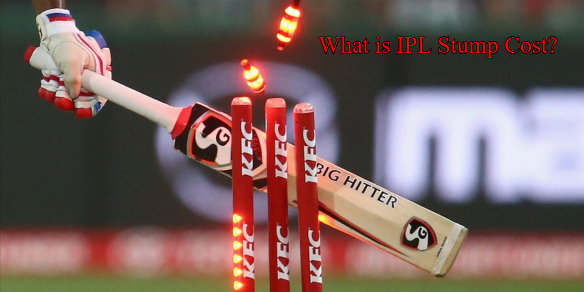What is IPL Stump Cost