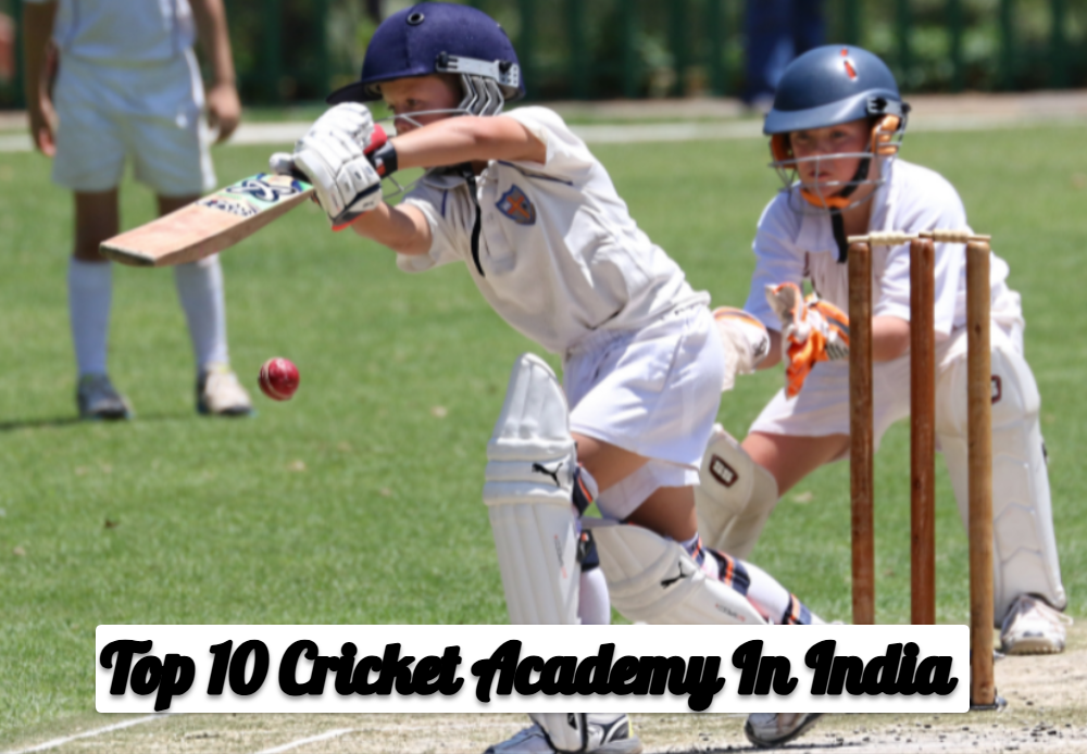 Top 10 Cricket Academy In India